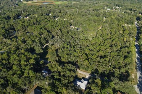 Land in Inverness, Florida № 2393644 - photo 13