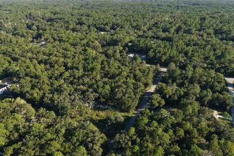 Land in Inverness, Florida № 2393644 - photo 11