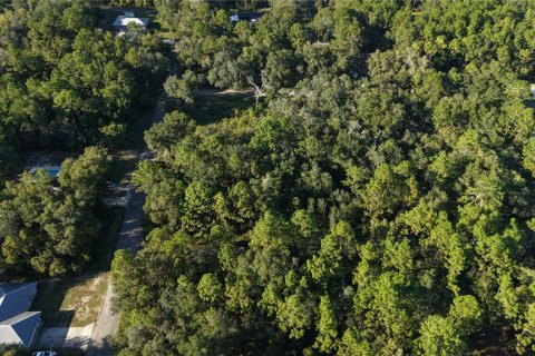 Land in Inverness, Florida № 2393644 - photo 14