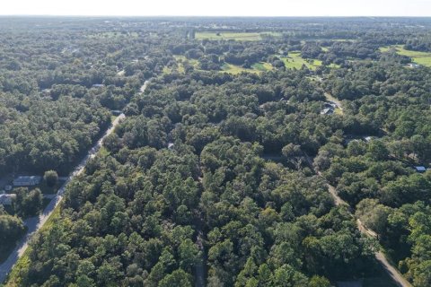 Land in Inverness, Florida № 2393644 - photo 8