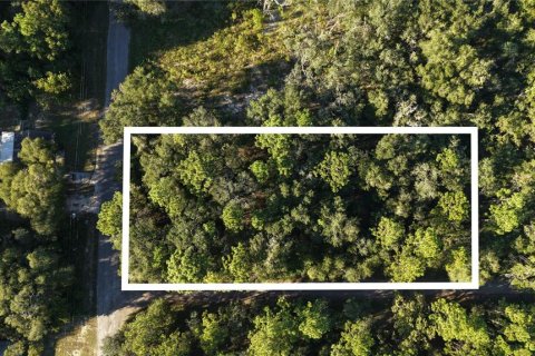 Land in Inverness, Florida № 2393644