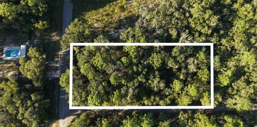 Land in Inverness, Florida № 2393644