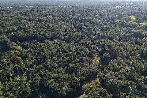 Land in Inverness, Florida № 2393644 - photo 9