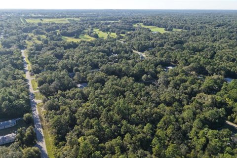 Land in Inverness, Florida № 2393644 - photo 7