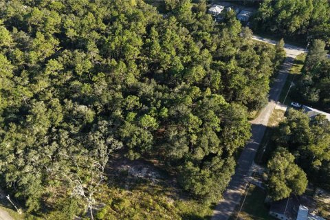 Land in Inverness, Florida № 2393644 - photo 18