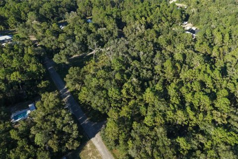 Land in Inverness, Florida № 2393644 - photo 23