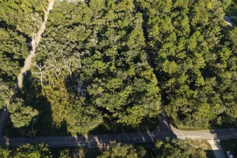 Land in Inverness, Florida № 2393644 - photo 25