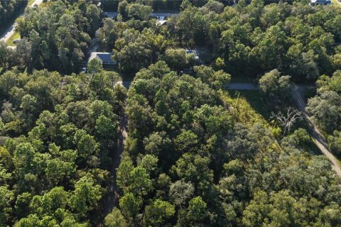 Land in Inverness, Florida № 2393644 - photo 24