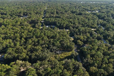 Land in Inverness, Florida № 2393644 - photo 10