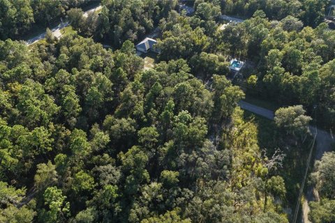 Land in Inverness, Florida № 2393644 - photo 16