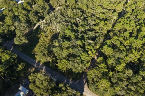 Land in Inverness, Florida № 2393644 - photo 26