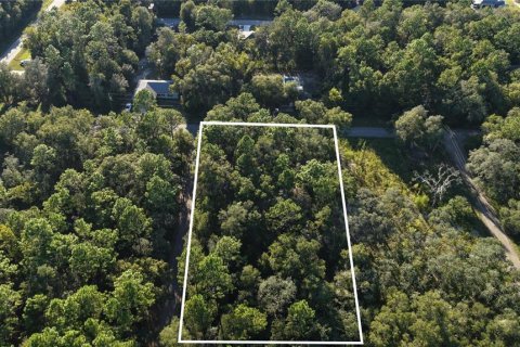 Land in Inverness, Florida № 2393644 - photo 2