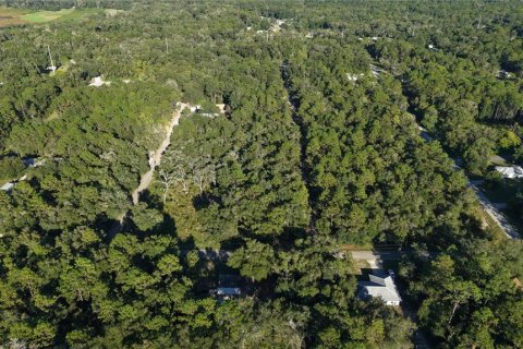 Land in Inverness, Florida № 2393644 - photo 12