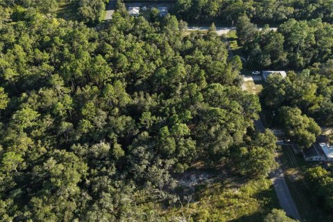 Land in Inverness, Florida № 2393644 - photo 17