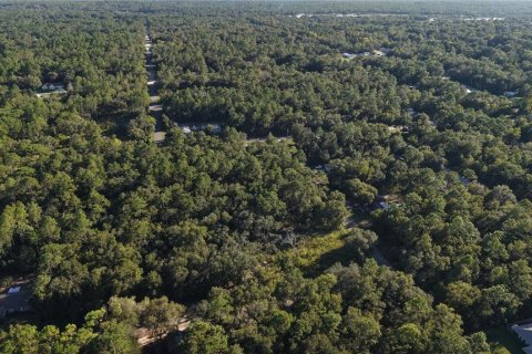 Land in Inverness, Florida № 2393644 - photo 22