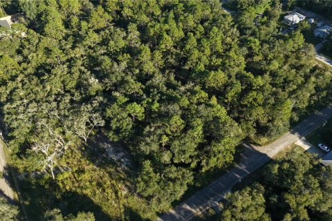 Land in Inverness, Florida № 2393644 - photo 19
