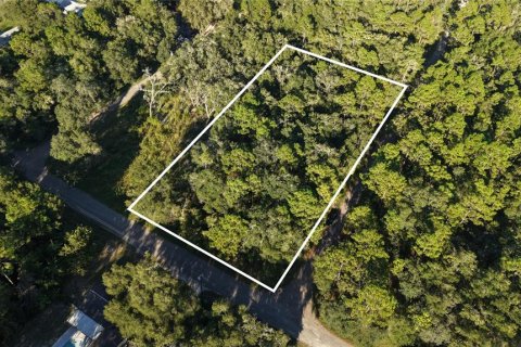 Land in Inverness, Florida № 2393644 - photo 3