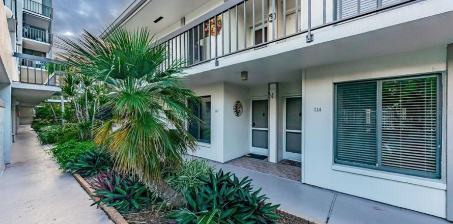 Condo à Saint Petersburg, Floride, 2 chambres № 1147888