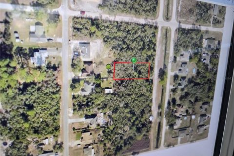 Land in DeLand, Florida № 2160893 - photo 2
