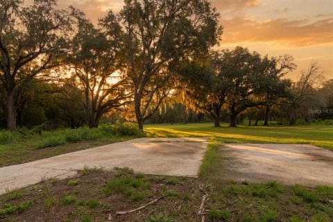 Land in Brooksville, Florida № 2234310 - photo 21