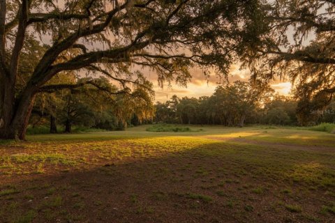 Land in Brooksville, Florida № 2234310 - photo 17