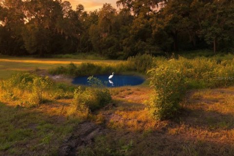 Land in Brooksville, Florida № 2234310 - photo 19