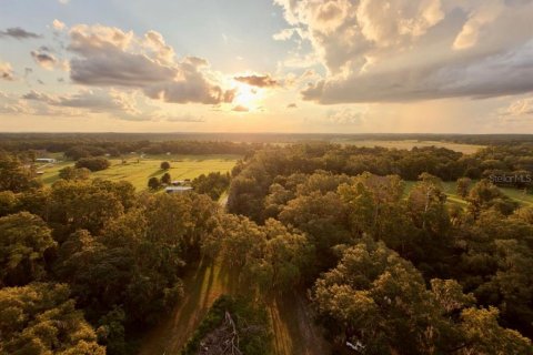 Land in Brooksville, Florida № 2234310 - photo 9