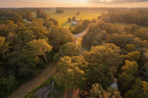 Land in Brooksville, Florida № 2234310 - photo 15