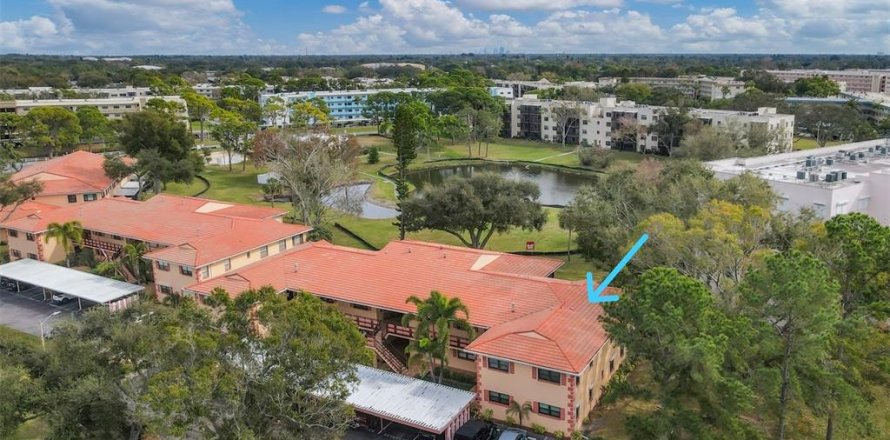 Condo in Saint Petersburg, Florida, 2 bedrooms  № 2396207