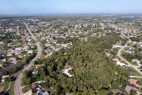 Land in Fort Myers, Florida № 1898735 - photo 6