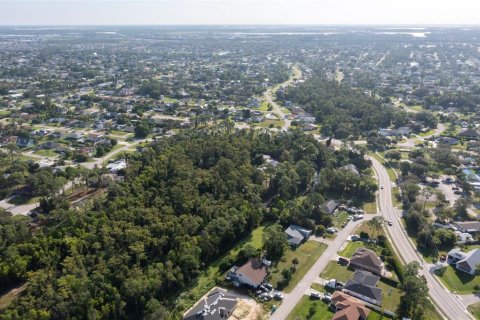 Land in Fort Myers, Florida № 1898735 - photo 7