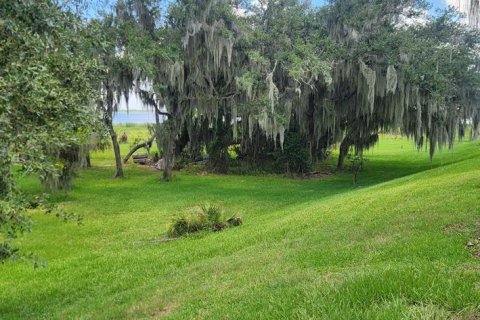 Terrain à vendre à Polk City, Floride № 2148901 - photo 6
