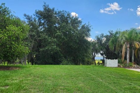 Terrain à Polk City, Floride № 2148901