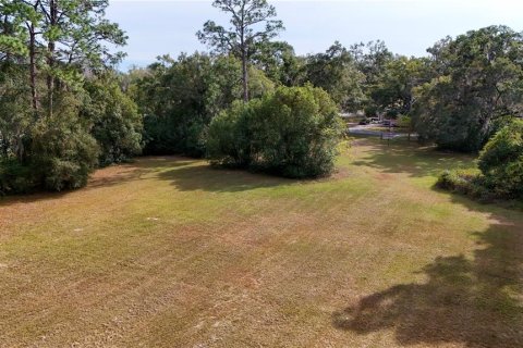 Terrain à vendre à Ocala, Floride № 2125354 - photo 4