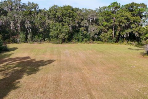 Terrain à vendre à Ocala, Floride № 2125354 - photo 21