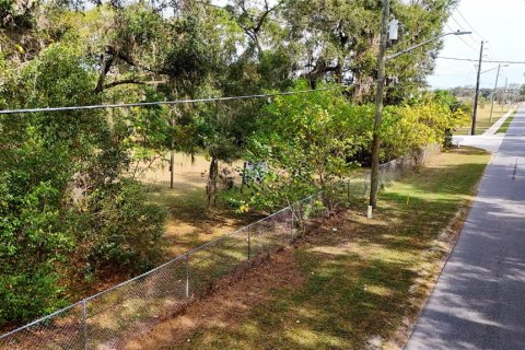 Terrain à Ocala, Floride № 2125354