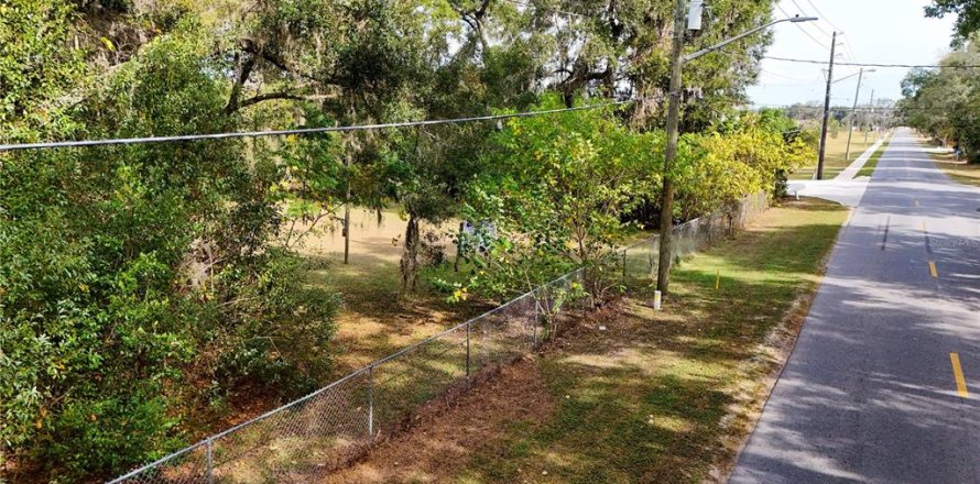 Terrain à Ocala, Floride № 2125354