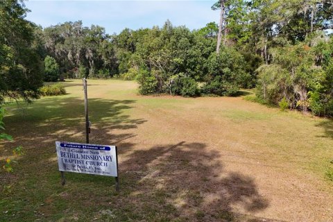 Terrain à vendre à Ocala, Floride № 2125354 - photo 2
