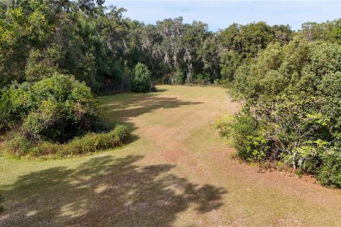 Terrain à vendre à Ocala, Floride № 2125354 - photo 20