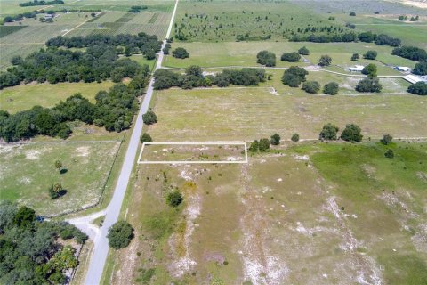 Terreno en venta en Haines City, Florida № 2221231 - foto 2