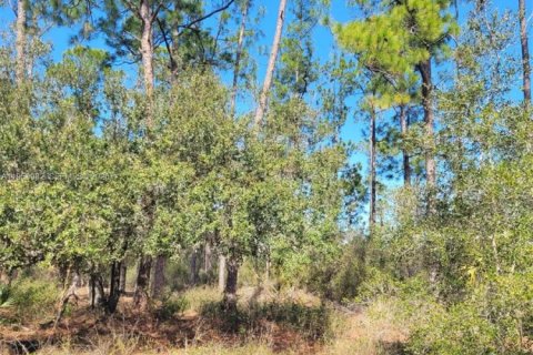 Terreno en venta en LaBelle, Florida № 2080592 - foto 4