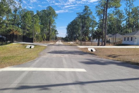 Terreno en venta en LaBelle, Florida № 2080592 - foto 6