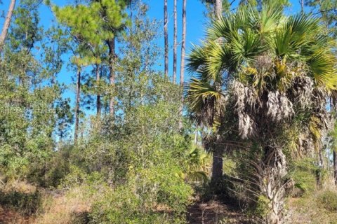 Terreno en venta en LaBelle, Florida № 2080592 - foto 3