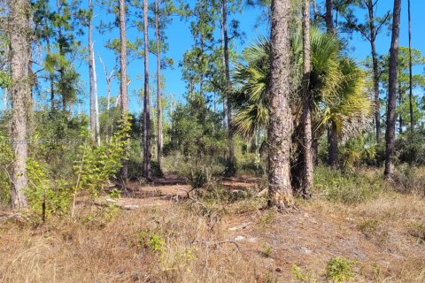 Terreno en venta en LaBelle, Florida № 2080592 - foto 5