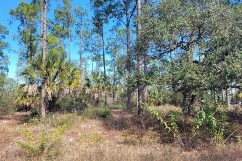 Terreno en LaBelle, Florida № 2080592