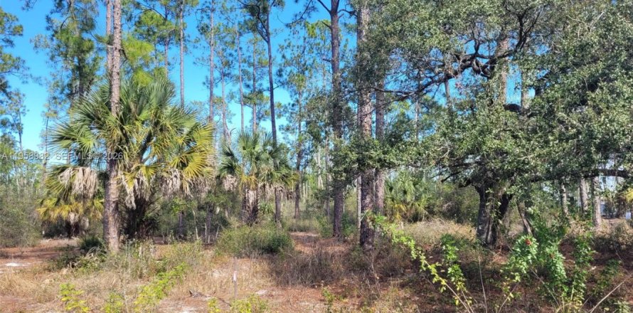 Terreno en LaBelle, Florida № 2080592