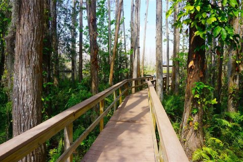 Condo in Lutz, Florida, 1 bedroom  № 2108031 - photo 29
