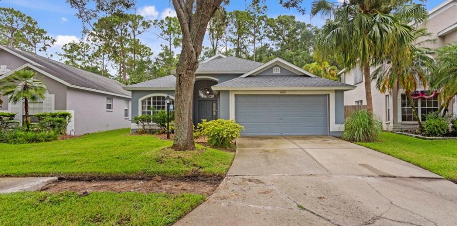 House in Tampa, Florida 5 bedrooms, 217.58 sq.m. № 1835406