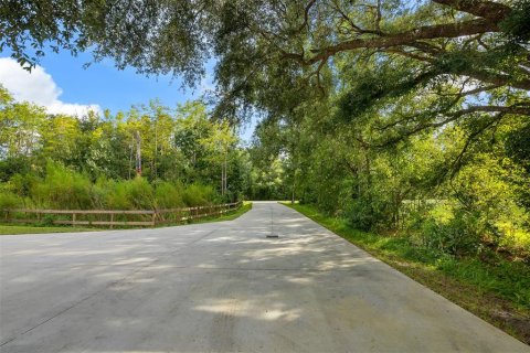 Casa en venta en Orlando, Florida, 4 dormitorios, 337.14 m2 № 2405792 - foto 4