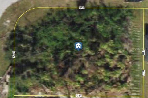 Land in Port Charlotte, Florida № 2162639 - photo 3